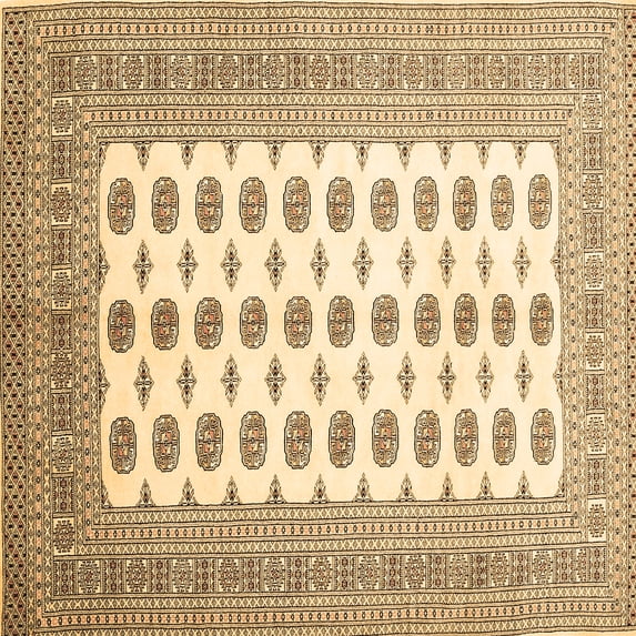 Ahgly Company Indoor Square Persian Brown Traditional Area Rugs, 8' Square