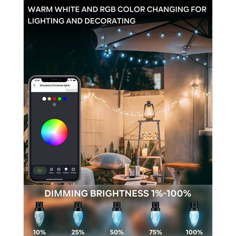 iBaycon RKPO-UL0501200IP44-1 Smart C9 Christmas Lights, 100 LED 65ft  Bluetooth Outdoor Christmas Lights String, APP Remote Controlled, Music  Sync Color Chan