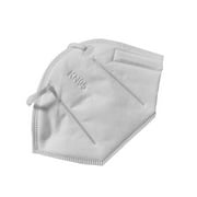N95 with Anti-Dust and Earloop, Set of 2
