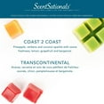 thumbnail image 4 of Cubes de cire parfumée ScentSationals Paquet économique - Transcontinental, 4 of 4