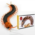 thumbnail image 1 of B Remote Control Centipede Toy With Realistic Movement And Led Eyes For Kids Pranks 12X8.3X2 Inches Infrared Controlled Crawling Insect, 1 of 9
