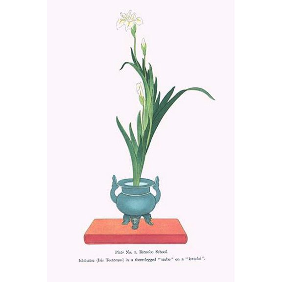 Ichihatsu (Iris Tectorum) in three legged isubo-Fine Art Canvas Print (20" x 30")