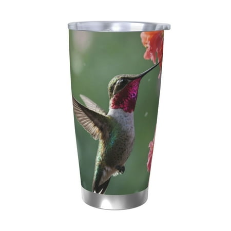 

Cauagu Humming Bird 1 Pattern 20oz Tumbler Stainless Steel Vacuum Insulated Tumbler with Lid Insulated Coffee Mug Thermal Cup with Splash Proof Sliding Lid-Without Straw
