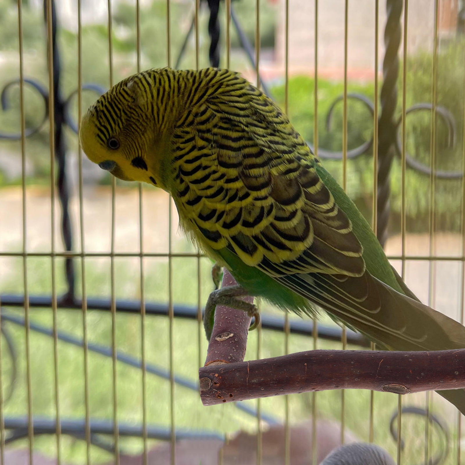 LOLIPPYY Light Brown Natural Wood Bird Perch Stand for Parakeets, Comfortable and Portable Bird Cage Accessory