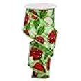thumbnail image 2 of Apples Canvas Wired Edge Ribbon, 2.5" x 10 Yards (Green Gingham), 2 of 2