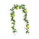 thumbnail image 5 of Guirnalda de limones artificiales, enredadera verde colgante, adorno con flores, fruta falsa para cafetería, tienda, repisa de jardín, festival, 5 of 8