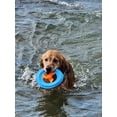 thumbnail image 3 of The Show and Tail, Float and Fetch Fun Waterproof Nylon Pet Throw Toy - AquaPaw, 8.5 Inch Size, Blue, 3 of 4