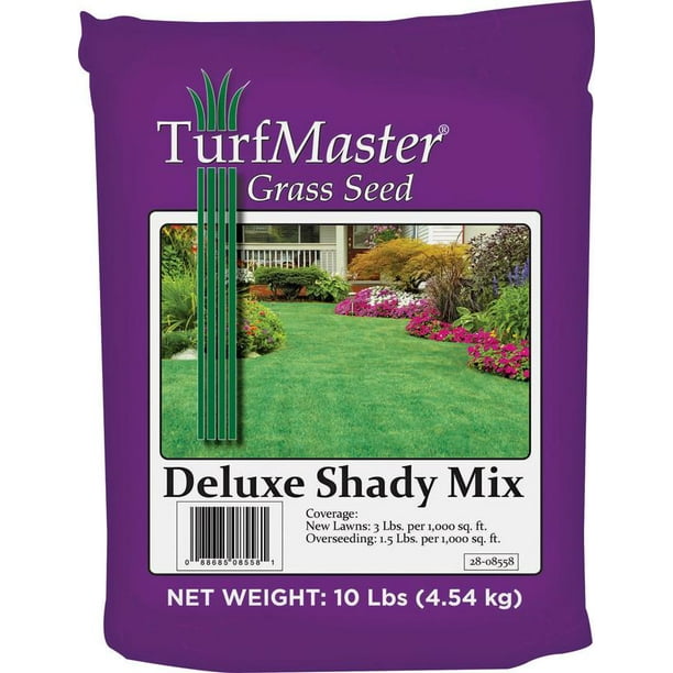 GRASS SEED DENSE SHADE 10 LB