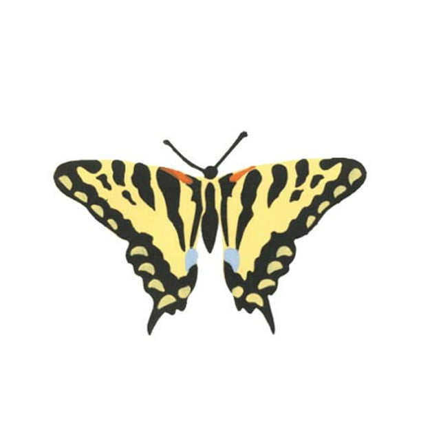 Tiger Swallow Tail Erfly Wall Stencil Sku 2687 By Designer Stencils Com - Swallow Stencil For Wall Tiger Swallow Tail Erfly Wall Stencil Sku 2687 By Designer Stencils Com - Swallow Stencil For Wall
