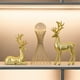 thumbnail image 4 of Adornos Elegantes y Lujosos de Estilo Moderno y Ligero para la Decoración de Gabinetes de TV de la Sala de Estar Pai, 4 of 5