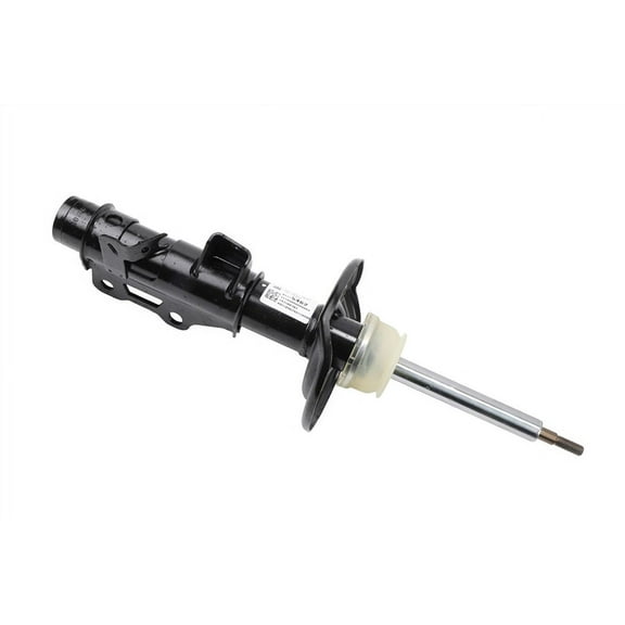 Front Driver Side Suspension Strut