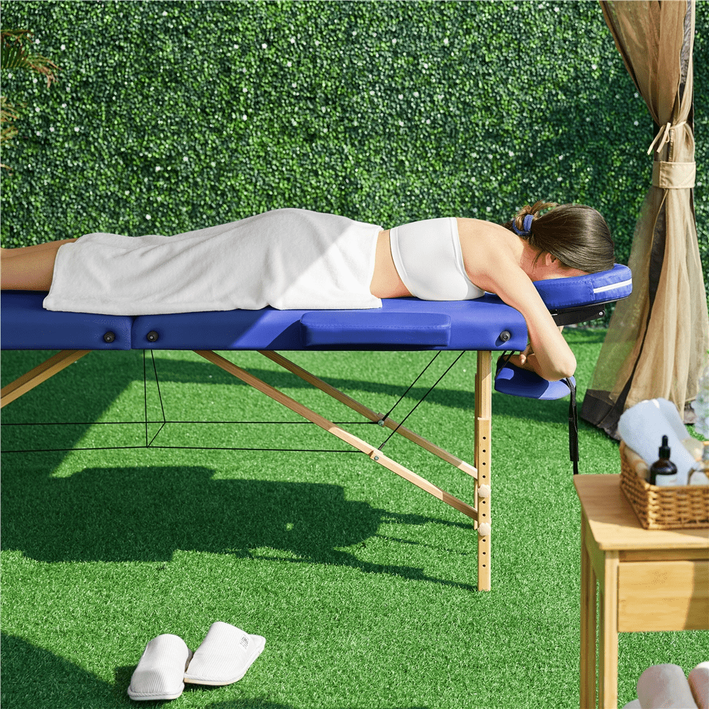 Renwick Adjustable Massage Bed with Non-woven Bag, Blue
