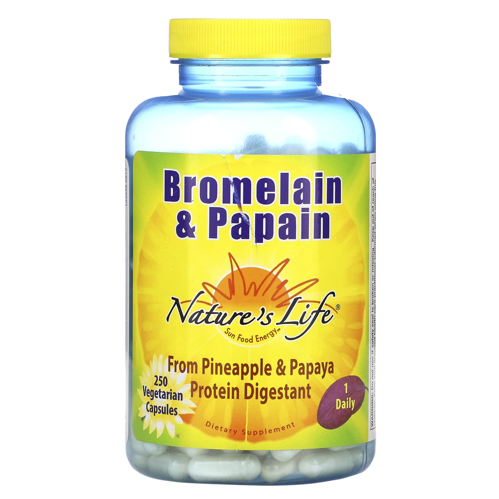 Nature's Life Bromelain & Papain Proteolytic Enzymes For Digestive Support & Comfort From