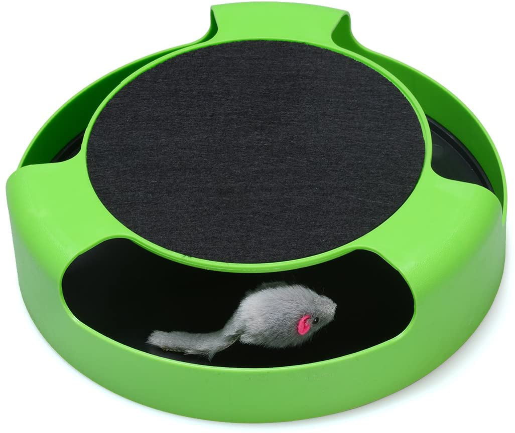 Catch The Mouse Toy, Cat Toys, Buy Online at Best Price