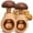 2pcs, variant on Wooden Nutcracker Tool - Manual Walnut Cracker with Screw Press for Hazelnuts, Pecans, Compact Mushroom Shaped Kitchen Gadget