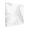 thumbnail image 2 of June Erica Vess 'Topography Contour IV' Canvas Art, 2 of 4