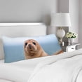 thumbnail image 2 of ABPHOTO Robbe Body Pillow Covers Pillowcase Throw Pillows 20x60 inch, 2 of 2