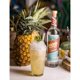 thumbnail image 3 of Pack de 12 Mezcal Herodes Joven 700 ml, 3 of 3
