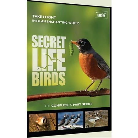 BBC Documentaries: Secret Life of Birds-5 Part Series (Best Bbc Documentary Series)