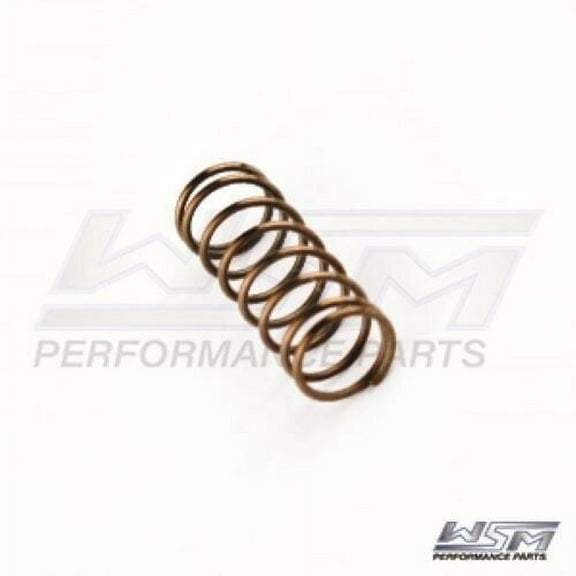 WSM Sea-Doo 951 DI Power Valve Spring '00-'07 010-034, 290939130, 420939130