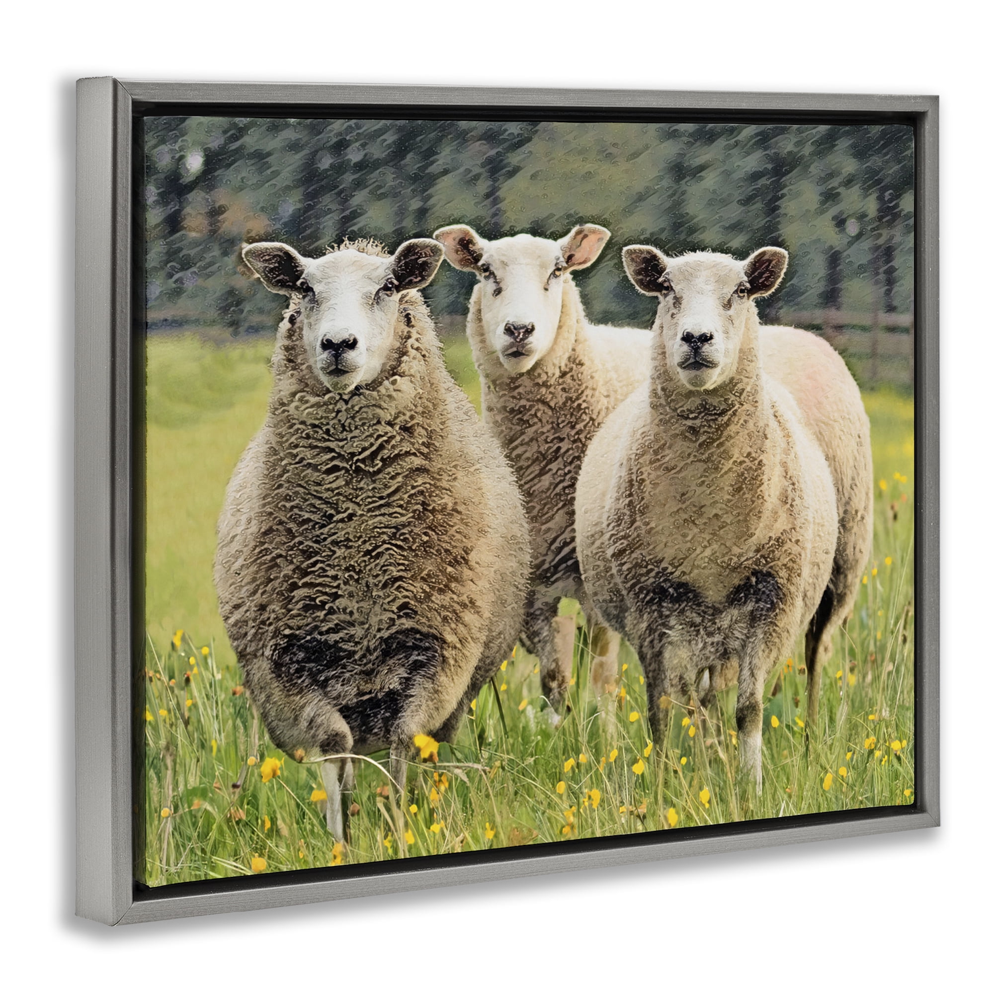 Stupell Industries Sheep Grazing in Grass Animals & Insects Painting Gray Floater Framed Canvas Art Print Wall Art, 31 x 25
