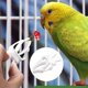 thumbnail image 4 of 5 uds Clip para fruta de pájaro, herramienta para fruta de loro y pájaro, comedero para jaula de pájaros, 4 of 5