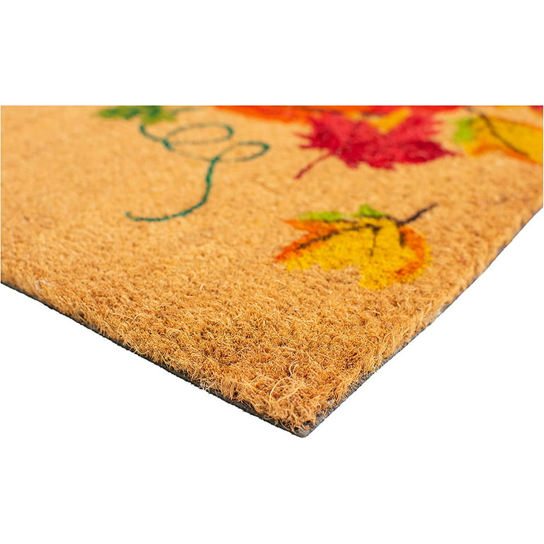 Winston Porter Ahriella Natural Flocked Coir and Rubber Large Door