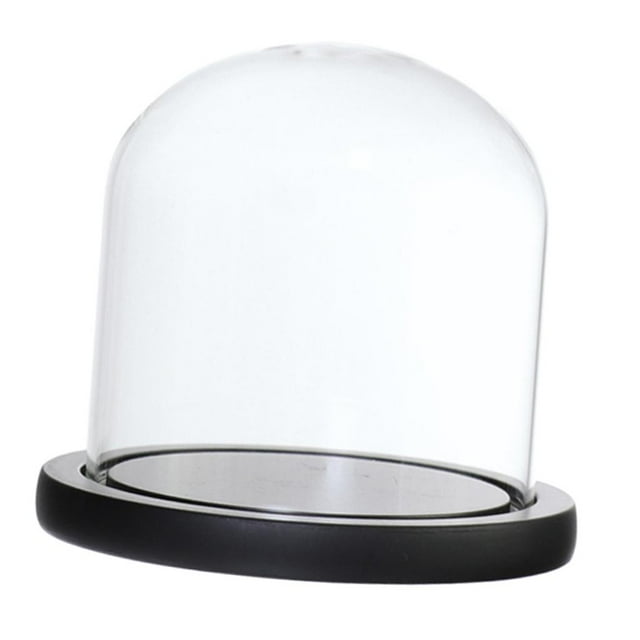 GROWTH TANK Clear Glass Cloche Plants and Container Dome Display Cover with Base Black E