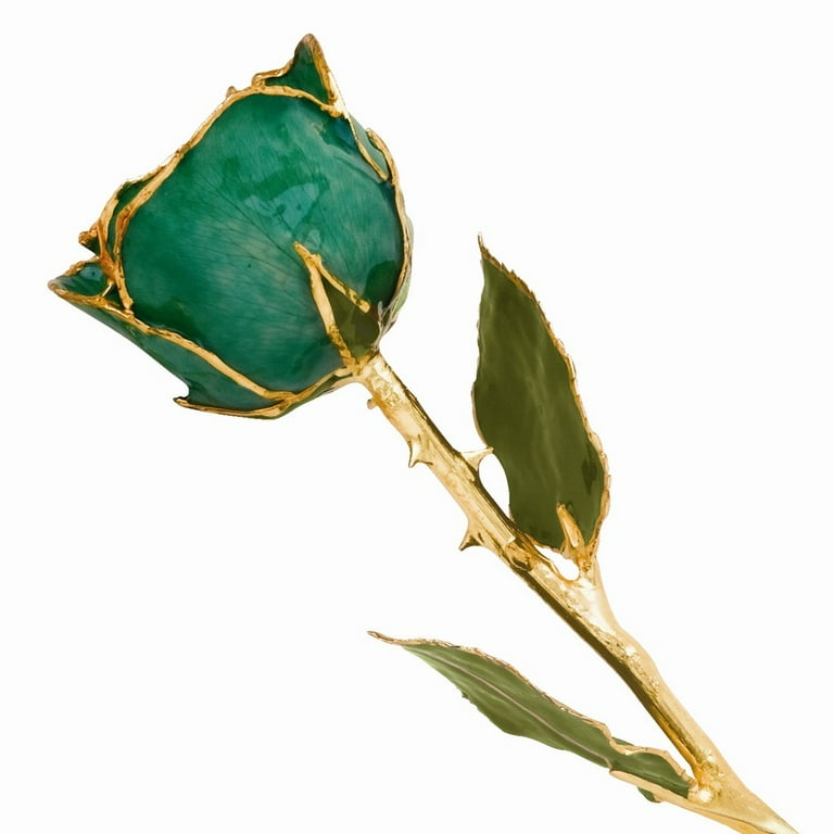 Lacquer Dipped 24k Gold Trim Rainbow Rose Lacquer Dipped 24k Gold Trim Rainbow Rose