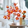 thumbnail image 2 of Led De Escritorio Con Luces De Árbol De Arces Que Funcionan Con Pilas, Luces Decorativas De Mesa De Halloween De Acción De Gracias Con Cable Usb 24 Luces matsuzay HA046490-00, 2 of 6