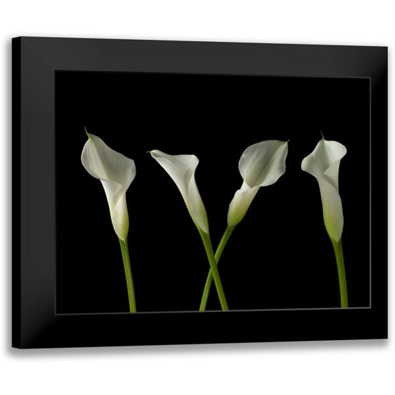 Frank, Assaf 14x12 Black Modern Framed Museum Art Print Titled - Calla lilies in a row