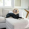 thumbnail image 5 of Mono deportivo para perro: caída del pelo de perro para el hogar, el coche, los viajes, la camisa que calma la ansiedad, la protección contra los rayos UV y las garrapatas, 5 of 5
