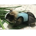 thumbnail image 2 of Adjustable Ferret Harness Baby Rabbit/Squirrel/Hamster Rat Mouse Leash Rope, 2 of 8