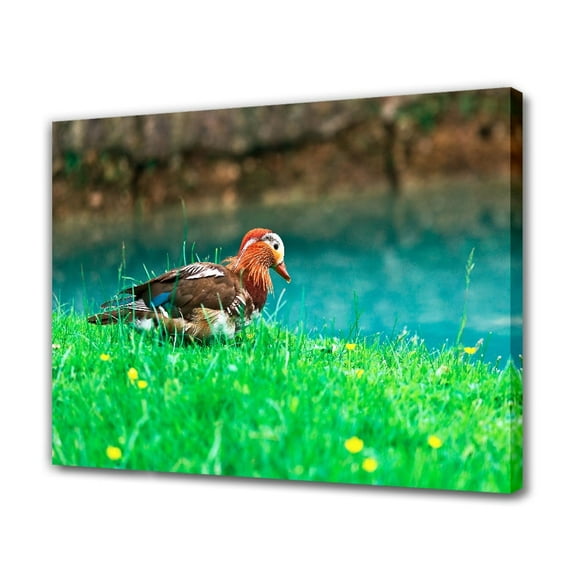 Wild Brown Duck on Green Field Canvas Poster Bedroom Decor Sports Landscape Office Room Decor Gift,Frame-style,12x18inch(30x45cm)