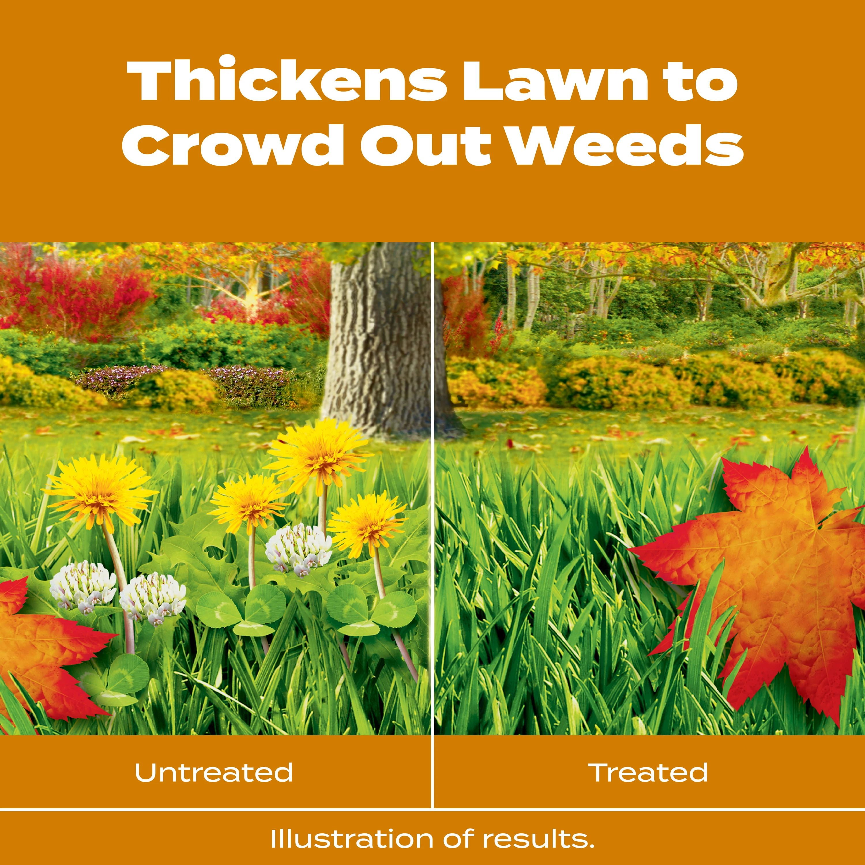 Scotts Turf Builder WinterGuard Fall Weed & Feed3, 34.3 lbs.