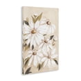 thumbnail image 3 of Stupell Industries Farmhouse Soft Muted Daisies Canvas Art, 24 x 36, by Amanda Cook, 3 of 8