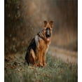 thumbnail image 3 of Ambesonne Dog Duvet Cover Sets, Young German Shepherd Autumn, 2-King, Sepia Grey, 3 of 7