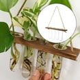 thumbnail image 4 of GUOOL Clear Hanging Vase Flower Plant Terrarium Glass Home Hydroponic Test Tube 1 1 Layer 4 Tube, 4 of 9