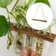 thumbnail image 3 of Jardinera colgante de pared, estaciones de propagación de plantas, terrario de plantas con soporte de , maceta de , jarrón de tubo de 1 tubo de Macarena Jarrón hidropónico colgante, 3 of 8