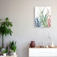 thumbnail image 2 of Masterpiece Art Gallery Ocean Magic II Marine Botanical by Carol Robinson Canvas Art Print, 2 of 4