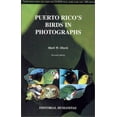 thumbnail image 1 of Pre-Owned Puerto Rico's Birds in Photographs (Paperback) 0965010414 9780965010412, 1 of 1