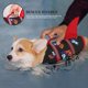 thumbnail image 2 of Chaleco salvavidas Dogcheer Cute Shark para nadar, color negro, talla XS, 2 of 7