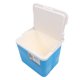 thumbnail image 1 of Nevera Portátil Con Aislamiento, 15 L, A Prueba De Fugas, Grande, Para Acampar, Para Fiestas Al Aire Libre, Fiestas Al Aire Libre, Camping, Viajes, Picnics En La Playa, Pesca, 1 of 7
