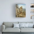 thumbnail image 2 of Trademark Fine Art Rusty Frentner Red Tailed Hawk Canvas Wall Art - 35x47, 2 of 5
