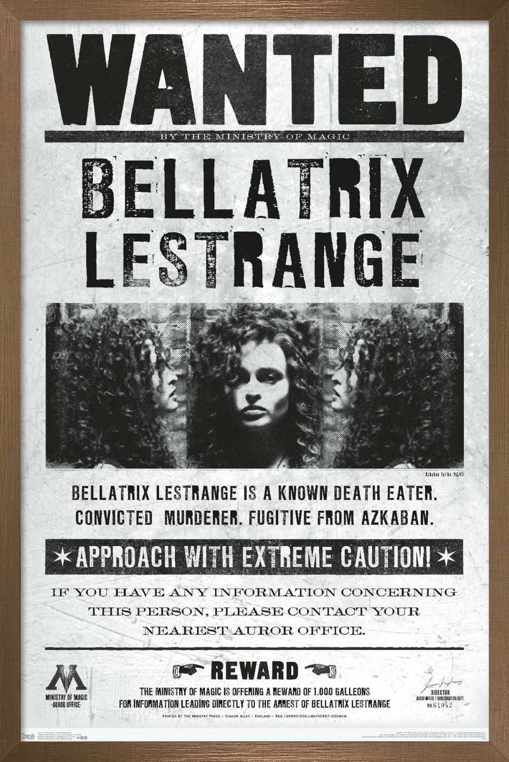 The Wizarding World: Harry Potter - Bellatrix Wanted Poster Wall Poster