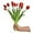 Red, variant on 15pcs Artificial Tulip Flowers, Real Touch Latex Tulip Bouquets, Fake Tulip Bouquets for Wedding Parties Home Kitchen Shop Garden Decorations (15, Yellow)