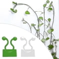 thumbnail image 1 of TOEUIE Invisible Wall Rattan Climbing Plant Fixture Clip Adhesive Hook, 1 of 3