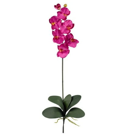 Beauty Stems - Phalaenopsis Stem (Set of 12)