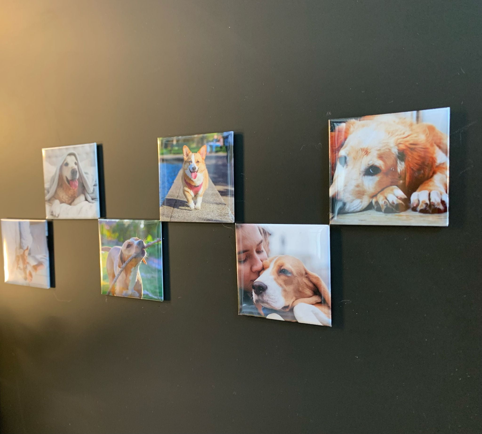 Set of 6 Custom Photo Magnets, Personalized Gifts, Holiday Keepsakes, Personalized Refrigerator Magnets, Birthday Favors, Baby Shower Favors, Wedding Favors, Branding, Newborn Keepsakes, 2"x2"