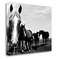 thumbnail image 2 of "Wild Whispers I" By Peggy Corpeny, Fine Art Giclee Print on Gallery Wrap Canvas, Ready to Hang, 2 of 2